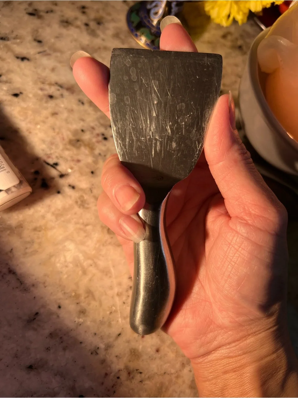 Stainless Steel Cheese Knife and Spreader Set of two